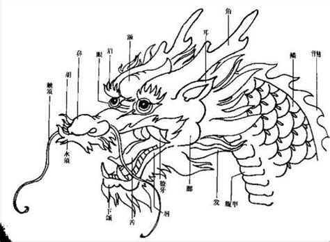 身體長白色的毛 龍角 畫法